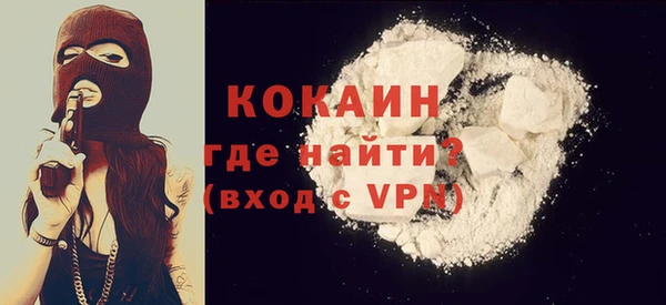 apvp Каменка