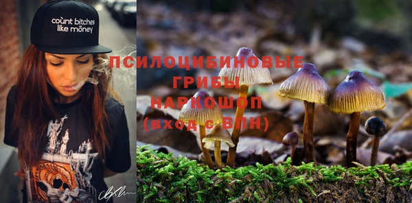 марки lsd Каменногорск